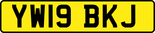 YW19BKJ