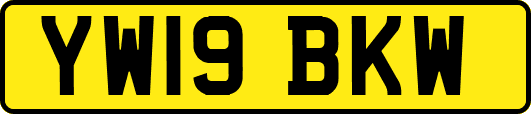 YW19BKW
