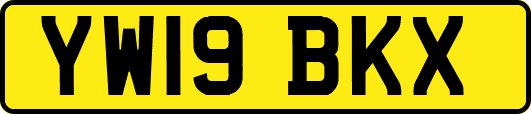 YW19BKX