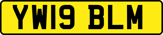 YW19BLM