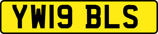 YW19BLS