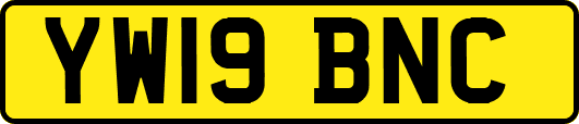 YW19BNC