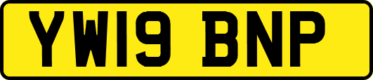 YW19BNP
