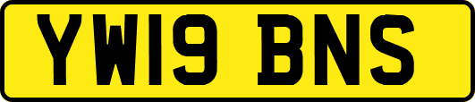 YW19BNS