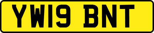 YW19BNT