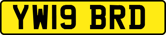YW19BRD