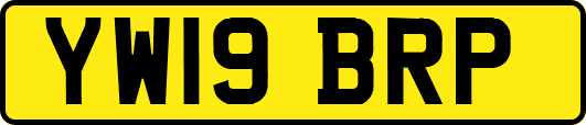 YW19BRP