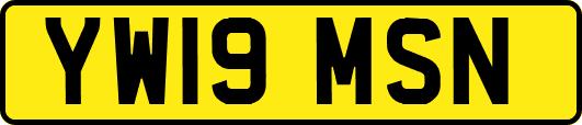 YW19MSN