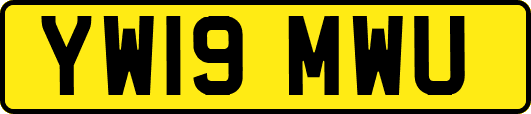 YW19MWU