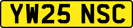 YW25NSC