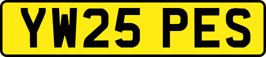 YW25PES