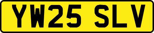YW25SLV