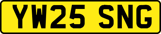 YW25SNG