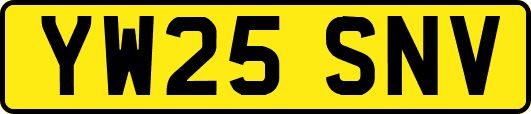 YW25SNV