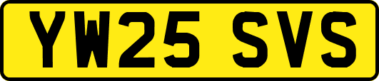 YW25SVS