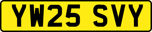 YW25SVY