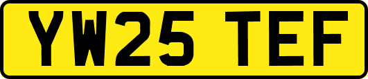 YW25TEF