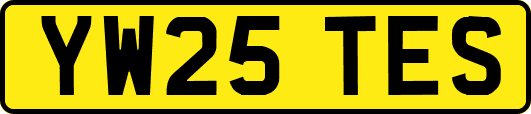 YW25TES