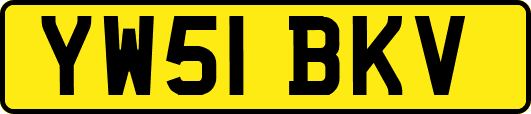 YW51BKV