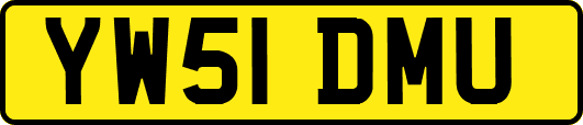 YW51DMU