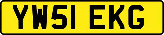 YW51EKG