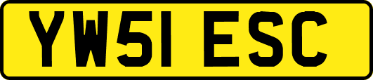 YW51ESC