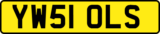 YW51OLS