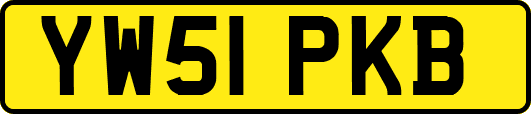YW51PKB