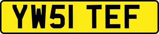 YW51TEF