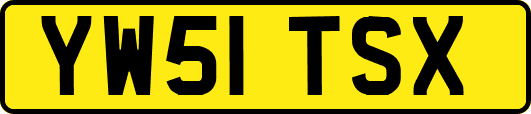 YW51TSX