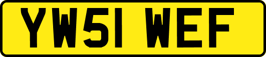 YW51WEF