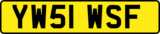 YW51WSF