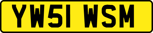 YW51WSM