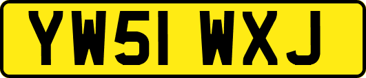 YW51WXJ