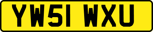YW51WXU