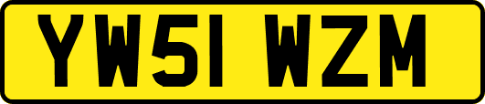 YW51WZM