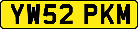 YW52PKM