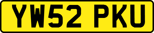 YW52PKU