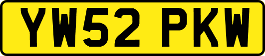 YW52PKW