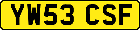 YW53CSF