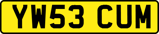 YW53CUM
