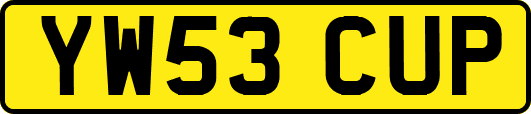 YW53CUP