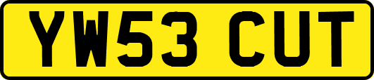 YW53CUT