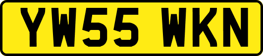 YW55WKN