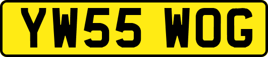 YW55WOG