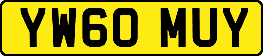 YW60MUY