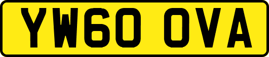 YW60OVA