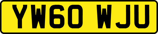 YW60WJU