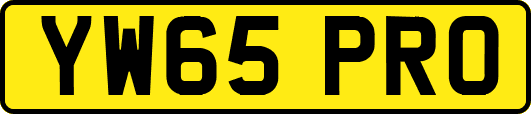 YW65PRO
