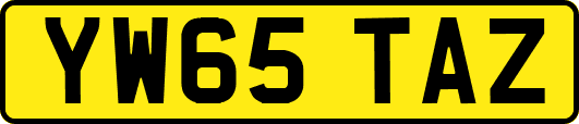 YW65TAZ